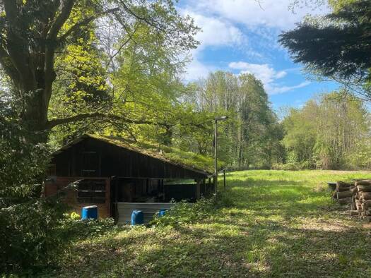 Freizeitgrundstück zum Kauf 59.000 € 7.500 m² Grundstück Kuppenheim Kuppenheim 76456