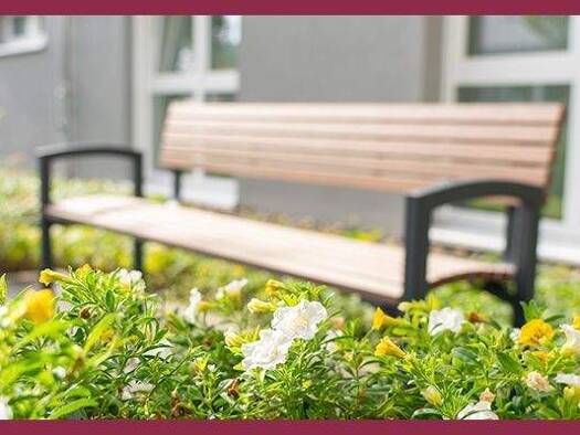 Studio zum Kauf provisionsfrei 285.000 € 1 Zimmer 57 m² Altstadt Magdeburg 39104