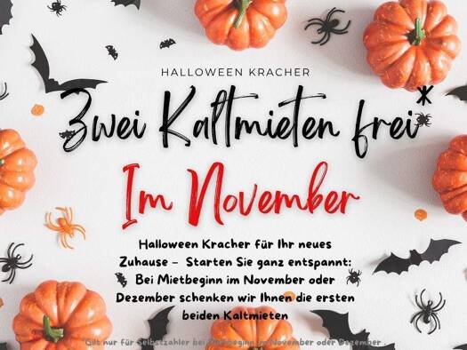 Wohnung zur Miete 339 € 2 Zimmer 47 m² 3. Geschoss frei ab 01.12.2025 Reichelstr. 11 Neue Neustadt Magdeburg 39124