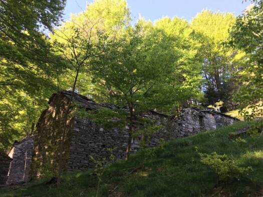 Rustico zum Kauf 30.000 € 4.790 m² Grundstück Trarego Viggiona 28826