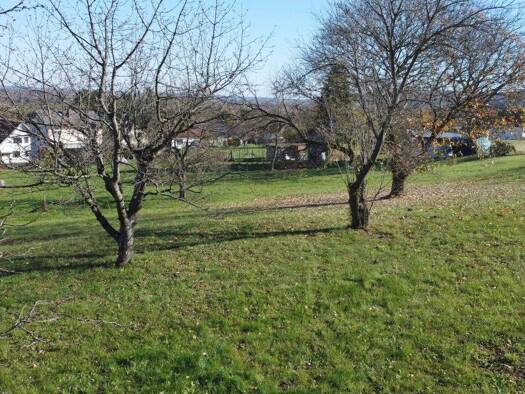 Grundstück zum Kauf 2.692 m² Grundstück Güssing 7540