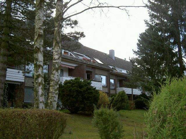 Immobilie in Reinbek - Echternach Immobilien ... vermietete 1 Zimmer-Wohnung in ruhiger Wohnlage - Bild 2