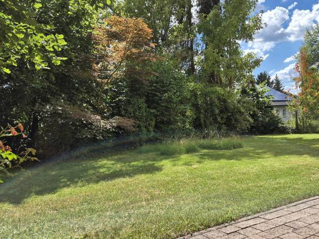 Terrassenwohnung zur Miete 495 € 2 Zimmer 58 m² 1. Geschoss frei ab sofort Bad Brückenau Bad Brückenau 97769