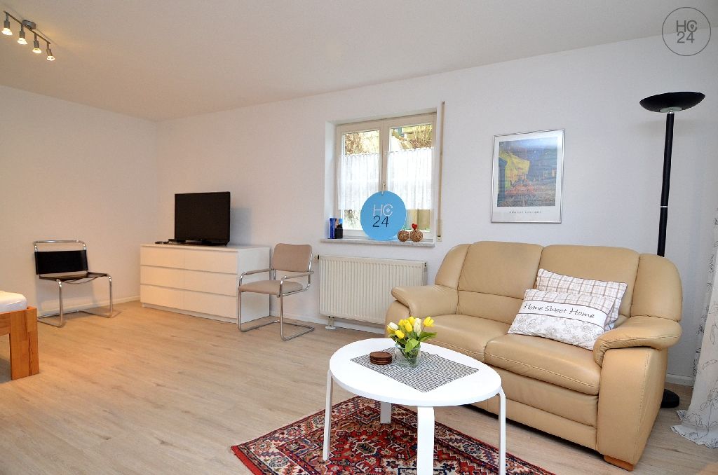 Wohnung zur Miete Wohnen auf Zeit 830 € 1 Zimmer 46 m²<br/>Wohnfläche 01.01.2025<br/>Verfügbarkeit Eimeldingen 79591