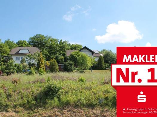 Grundstück zum Kauf 55.000 € 977 m² Grundstück Arfeld Bad Berleburg 57319