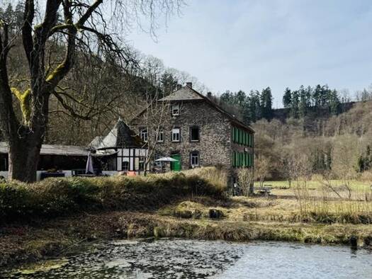 Haus zum Kauf provisionsfrei 653.000 € 10 Zimmer 510 m² 50.000 m² Grundstück Vallendar 56179