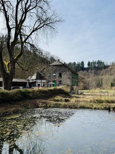 Haus zum Kauf provisionsfrei 669.000 € 10 Zimmer 510 m² 50.000 m² Grundstück Vallendar Vallendar 56179