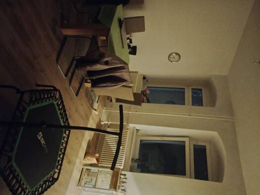 Terrassenwohnung zur Miete 400 € 2 Zimmer 50 m² Geschoss EG/5 frei ab 01.07.2026 Alt-Treptow Berlin 12435