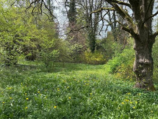 Grundstück zum Kauf 800 m² Grundstück München 81377