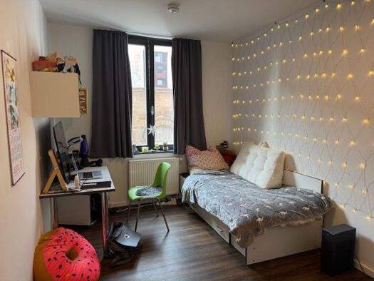 Wohnung zur Miete 475 € 27 m² frei ab 01.01.2026 Innenstadt Erlangen 91054