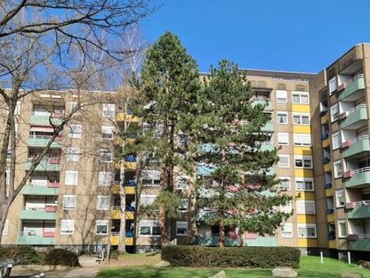 Wohnung zur Miete 539 € 2 Zimmer 60 m² 1. Geschoss frei ab 19.09.2026 Hofgerichtsweg 8 Brackel Dortmund 44309