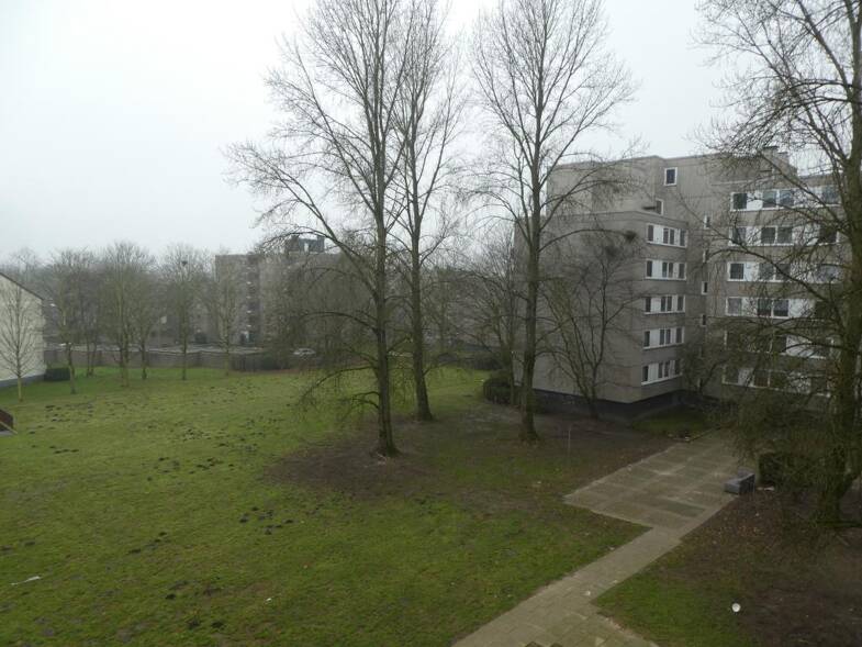 Wohnung zur Miete 449 € 2 Zimmer 61,2 m² 3. Geschoss Allensteiner Straße 31 Buer Gelsenkirchen 45897