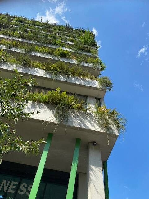 Property thumbnail 10