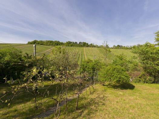 Grundstück zum Kauf 790.000 € 746 m² Grundstück Wien 1190