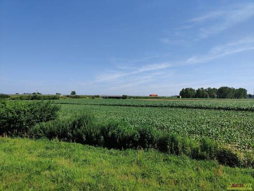 Gewerbepark zum Kauf 3.329.000 € 60.396 m² Grundstück Beltinci 9231