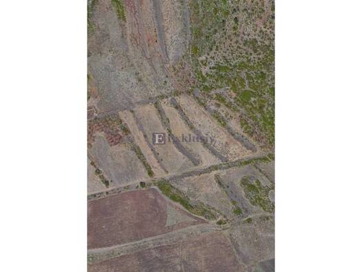 Acker-/Waldstück zum Kauf 240.000 € Buenavista del Norte 38480