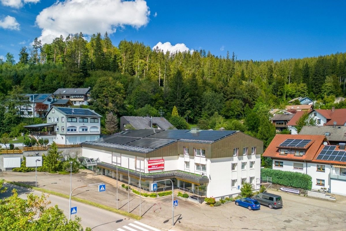 Bürofläche zum Kauf 1.950.000 € 4.441,7 m²<br/>Bürofläche Schonach im Schwarzwald 78136