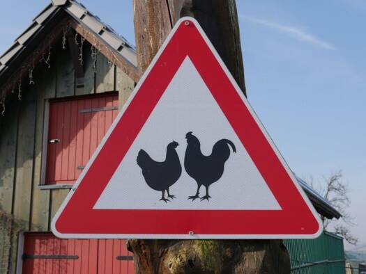 Mehrfamilienhaus zum Kauf als Kapitalanlage geeignet 1.630.000 € 13 Zimmer 500 m² 864 m² Grundstück Petersbächel Fischbach bei Dahn 66996