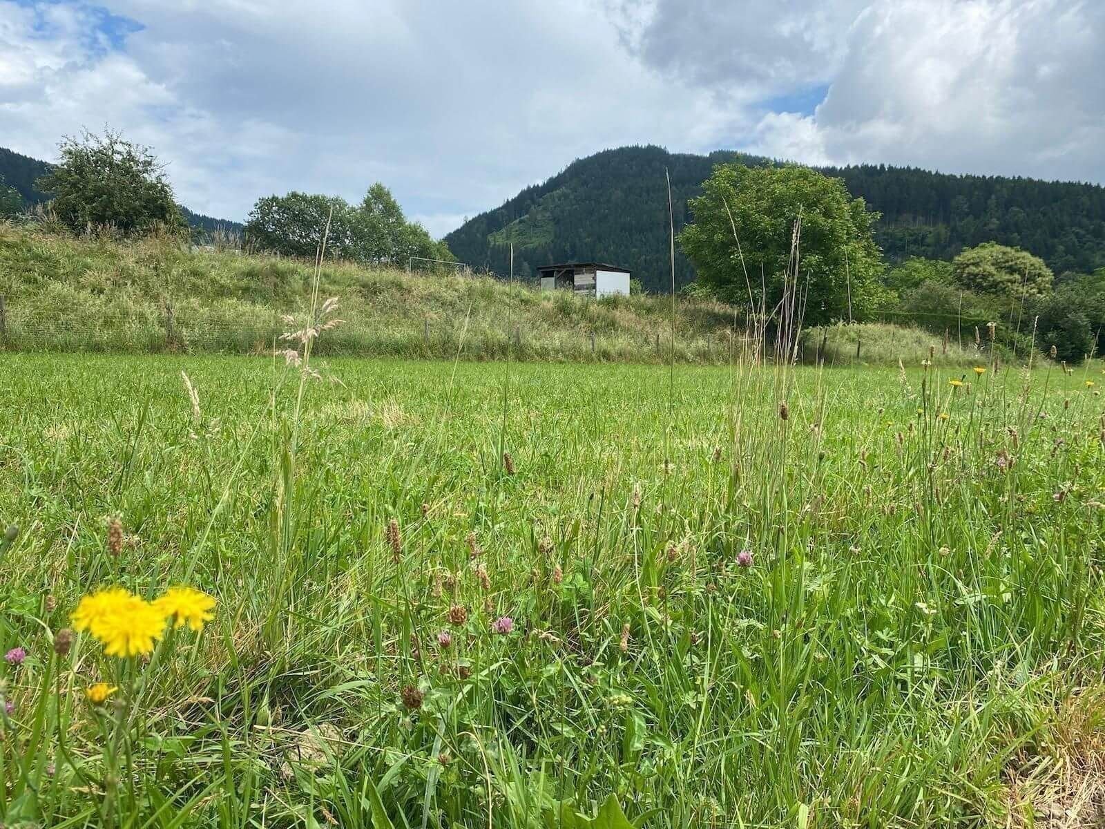 Grundstück zum Kauf 94.500 € 630 m²<br/>Grundstück Feldkirchen in Kärnten 9560