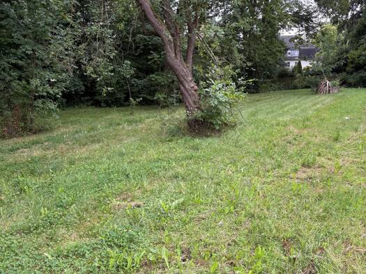 Grundstück zum Kauf provisionsfrei 55.300 € 700 m² Grundstück frei ab sofort Haselbrunn Plauen 08525