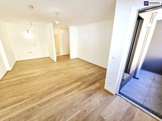 Büro zum Kauf - Erstbezug 4.826 € 1 Zimmer Leopoldigasse Wien 1230