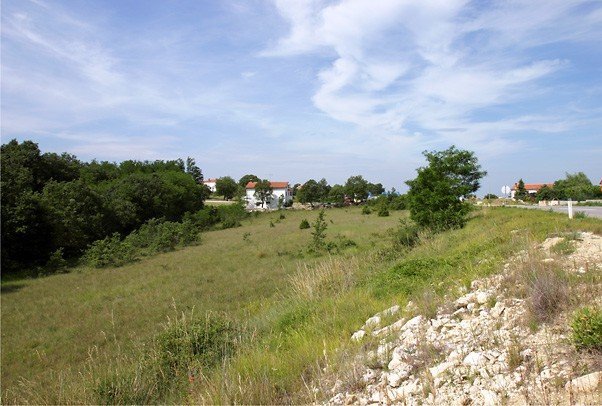 Grundstück zum Kauf 8.804 m²<br/>Grundstück Porec 52440