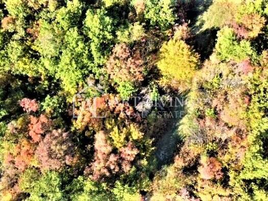 Gewerbegrundstück zum Kauf 486.600 € Umag 52470