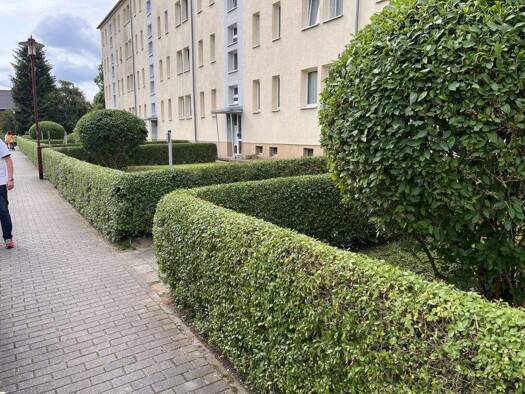 Studio zur Miete 225 € 1 Zimmer 31,7 m² 2. Geschoss Lossastraße 13 Eilenburg 04838