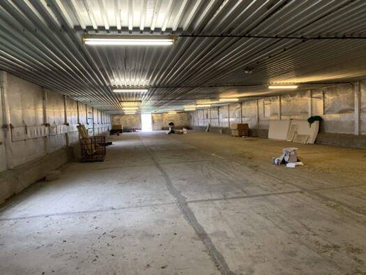 Lagerhalle zur Miete provisionsfrei 3.000 € 1.000 m² Lagerfläche teilbar ab 1.000 m² Sora Klipphausen 01665