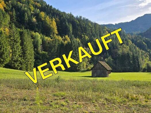 Land-/Forstwirtschaft zum Kauf 33.283 m² Grundstück Eisenkappel-Vellach 9135