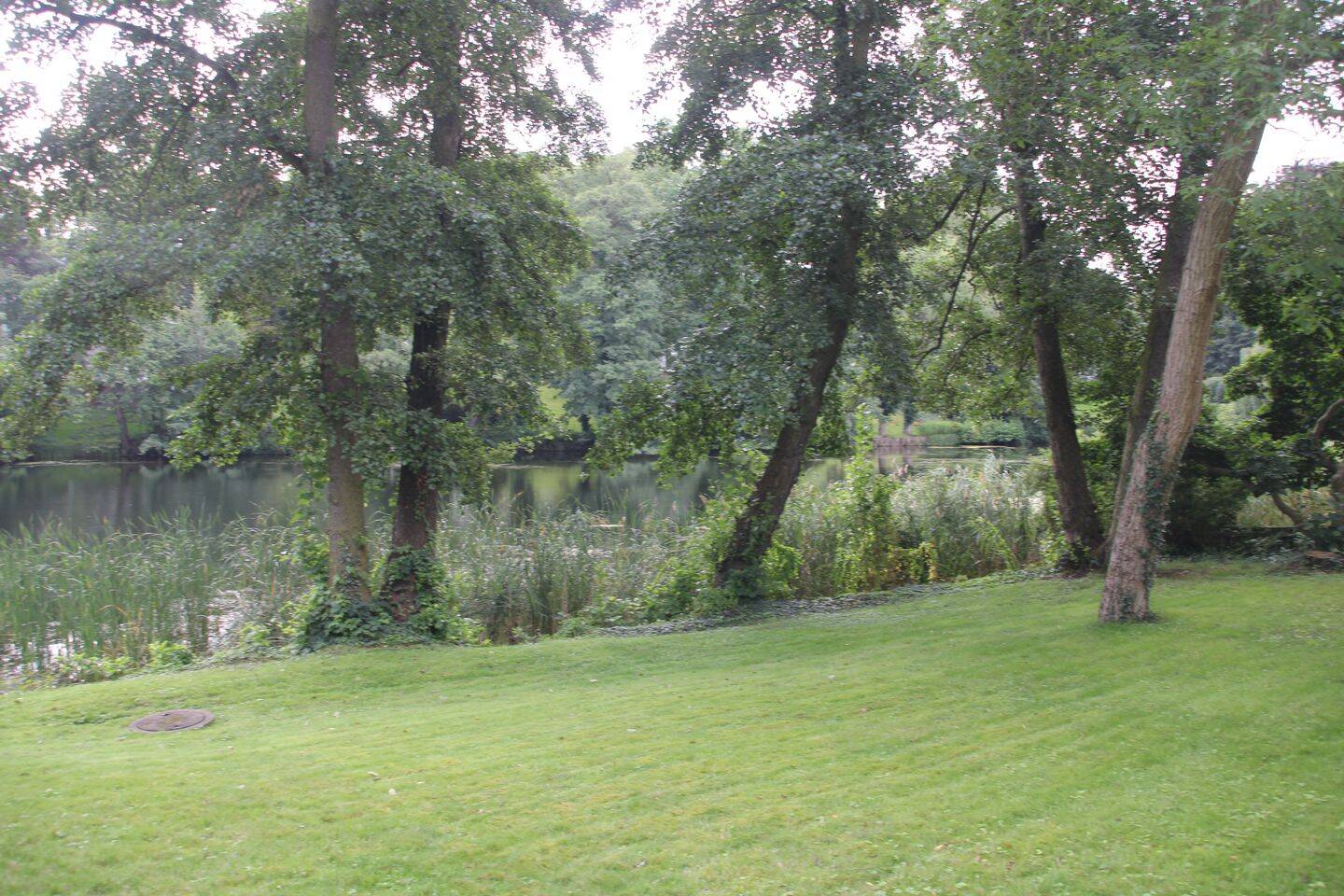 Property thumbnail 39