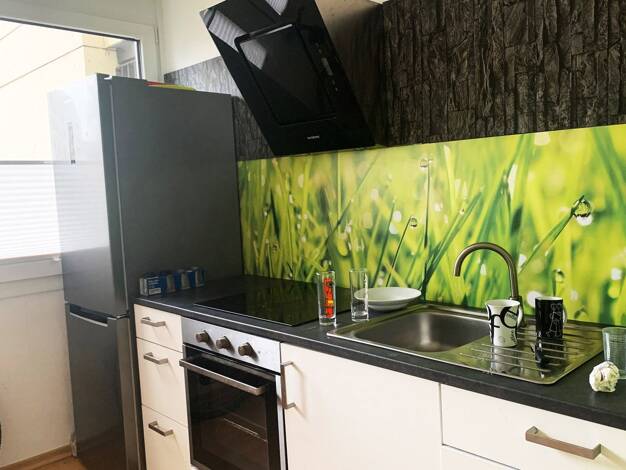 Wohnung zum Kauf provisionsfrei 249.000 € 1,5 Zimmer 60 m² 1. Geschoss Virchowstraße 1 Maxfeld Nürnberg 90409