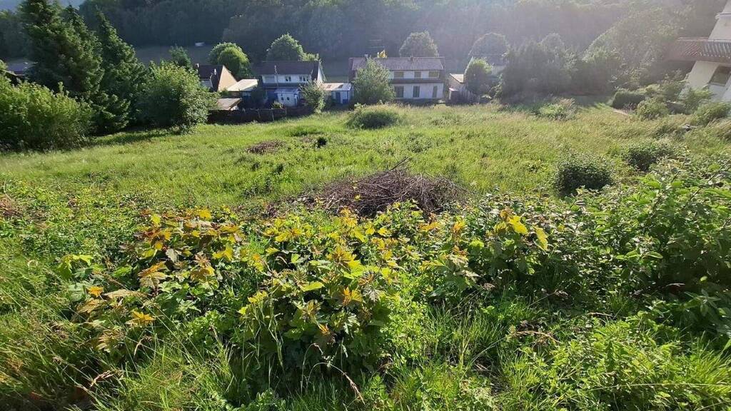 Grundstück zum Kauf 125.000 € 848 m² Grundstück Burladingen 72393