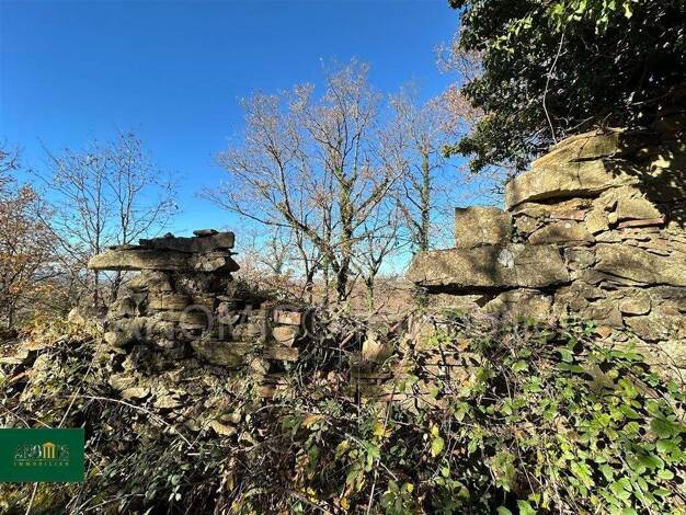 Grundstück zum Kauf 80.000 € 9.070 m² Grundstück Baugrundstück mit Meerblick Montieri Montieri 58026