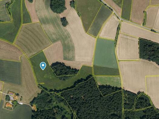 Land-/Forstwirtschaft zum Kauf 119.075 € 23.815 m² Grundstück Witzenzell Falkenstein 93167
