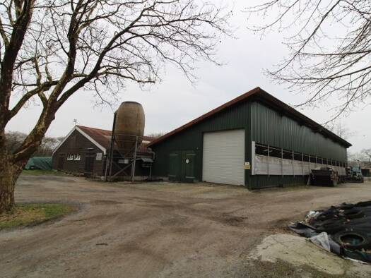 Landwirtschaftliche Fläche zur Miete 50.000 m² Grundstück Hesel Friedeburg 26446
