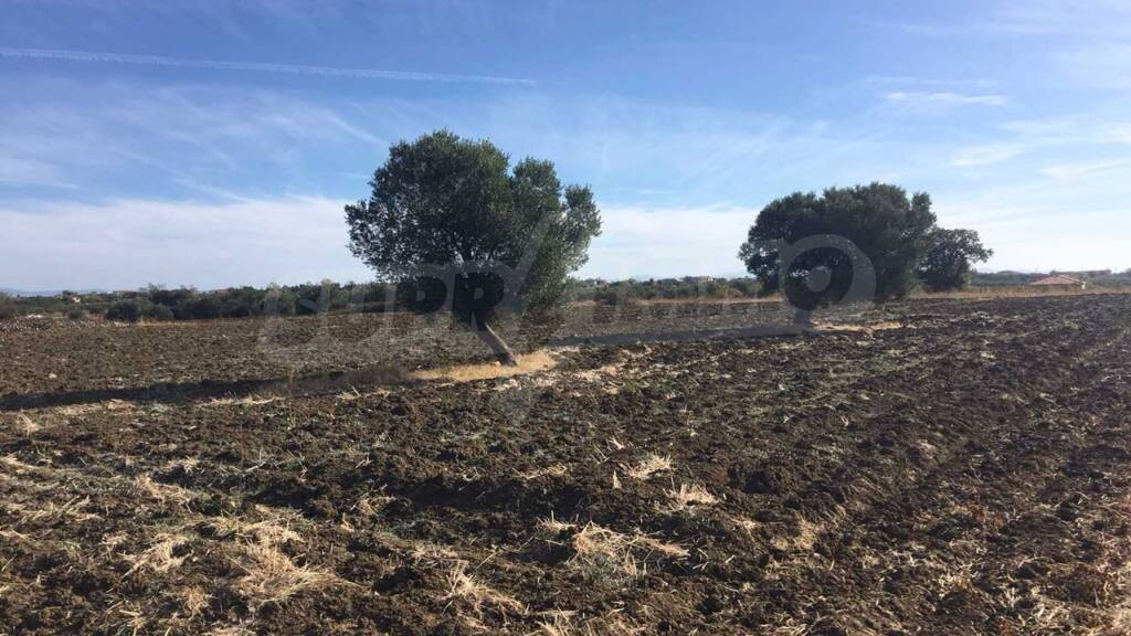 Landwirtschaftliche Fläche zum Kauf 85.000 € Afitos