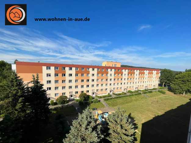 Wohnung zur Miete 321 € 2 Zimmer 53,5 m² Brünlasberg 47 Aue 08280