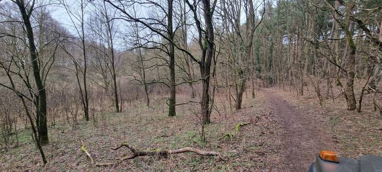 Land-/Forstwirtschaft zum Kauf provisionsfrei 1.900 € 1.460 m² Grundstück Alt Ruppin Neuruppin 16827