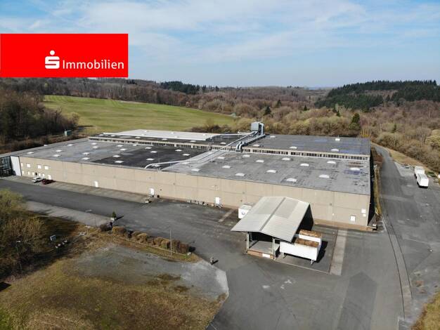 Produktionshalle zum Kauf provisionsfrei 4.950.000 € 10.895 m² Lagerfläche Medenbach Breitscheid 35767