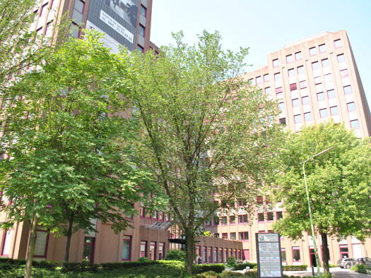 Bürofläche zur Miete provisionsfrei 14,50 € 5.366 m² Bürofläche Lörick Düsseldorf 40547