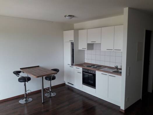 Wohnung zur Miete 480 € 1 Zimmer 31 m² Geschoss 1/3 frei ab 01.06.2026 Kürenz Trier 54296