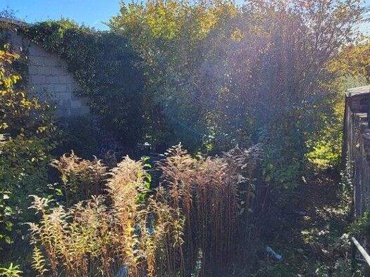 Grundstück zum Kauf 115.000 € 604 m² Grundstück Plaidt 566347