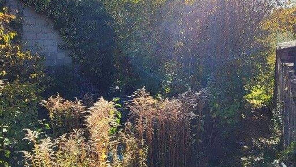 Grundstück zum Kauf 115.000 € 604 m² Grundstück Plaidt 566347