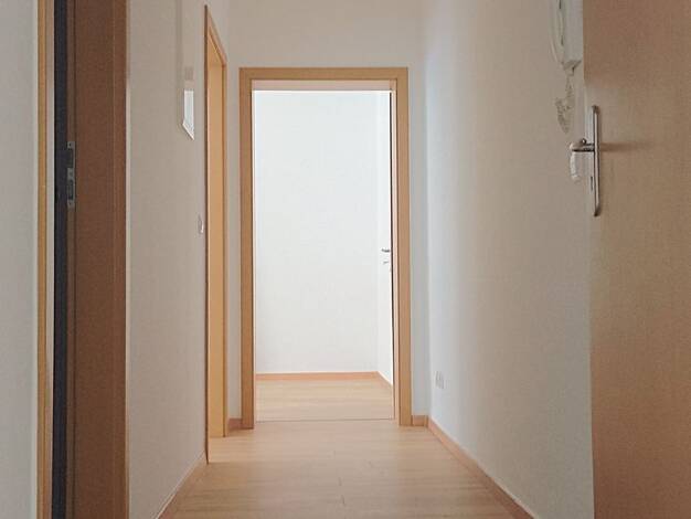 Wohnung zur Miete 290 € 2 Zimmer 46 m² frei ab sofort Altchemnitz Chemnitz 09120