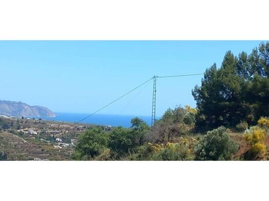 Acker-/Waldstück zum Kauf 129.000 € >C. Pontil > Torrox 29770