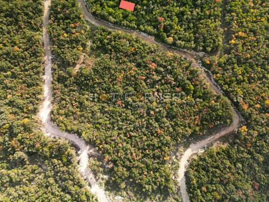 Acker-/Waldstück zum Kauf 250.000 € Rovinj Rovinj 52210