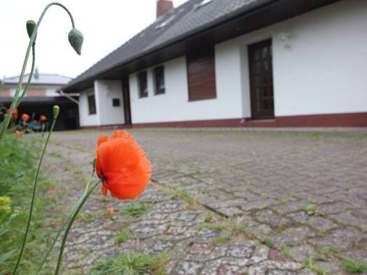 Medizinisches Gebäude zum Kauf 1.490.000 € 8 Zimmer 315 m² Bürofläche Rellingen 25462