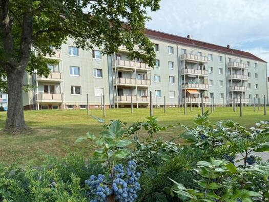 Wohnung zur Miete 420 € 3 Zimmer 61,4 m² frei ab sofort Albert-Schweitzer-Ring 38 Wilkau-Haßlau Wilkau-Haßlau 08112