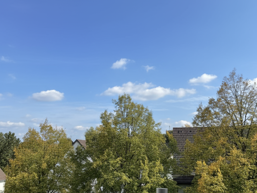 Wohnung zur Miete 1.185 € 3 Zimmer 65 m² Geschoss 1/3 frei ab 01.02.2026 Kierberg Brühl 50321